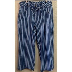 American Eagle‎ Blue White Striped Paperbag Waist Wide Leg Crop Pants Womens 16